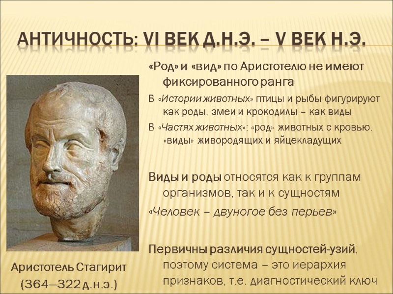 Античность: VI век д.н.э. – V век н.э. «Род» и «вид» по Аристотелю не